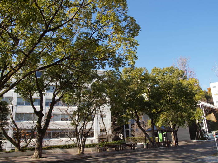 大学の就職・進学懇談会_c0116915_23203394.jpg