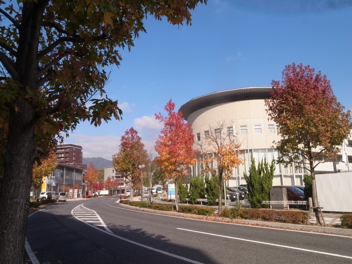 廿日市市の紅葉など_c0116915_23362092.jpg
