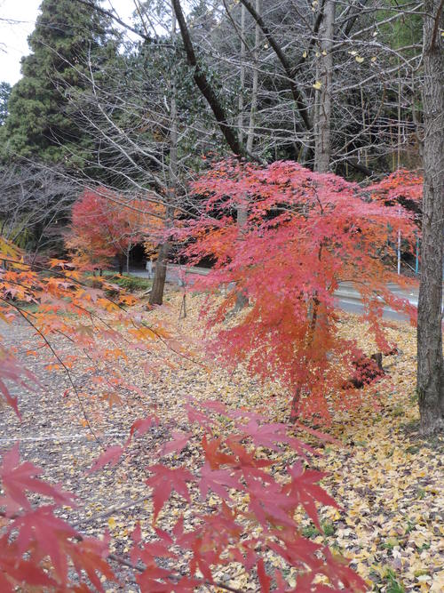 a0238019_2173849.jpg