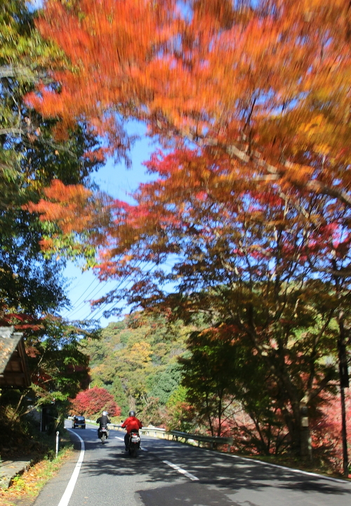 六つ星紙飛行機隊のツーリング　前篇　紅葉～岩を楽しむ_f0248120_19325978.jpg