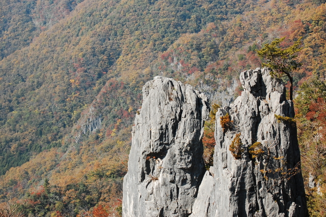 f0248120_19392323.jpg