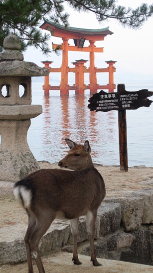 宮島　厳島神社_f0231422_18224229.jpg