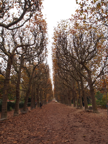 Parisお散歩風景5_d0127925_13535879.jpg