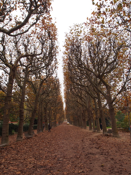 Parisお散歩風景５_d0127925_13535879.jpg