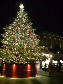 f0309325_1103886.jpg