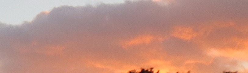 e0198128_16502829.jpg