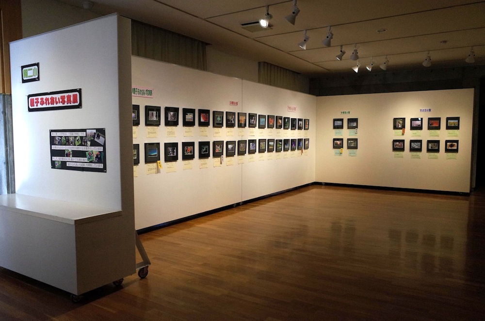 東川町文化ギャラリー展示情報_b0187229_12205151.jpg