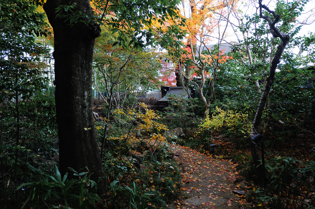 a0204732_8445030.jpg