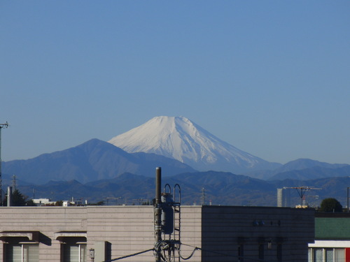 e0321032_1256444.jpg