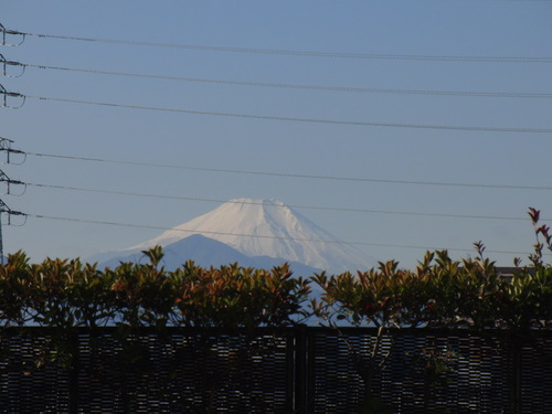 e0321032_136084.jpg