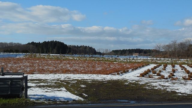 f0039933_23475472.jpg