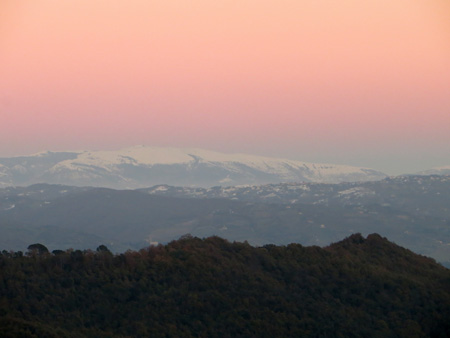 雪山を望みオリーブを摘む_f0234936_17441069.jpg