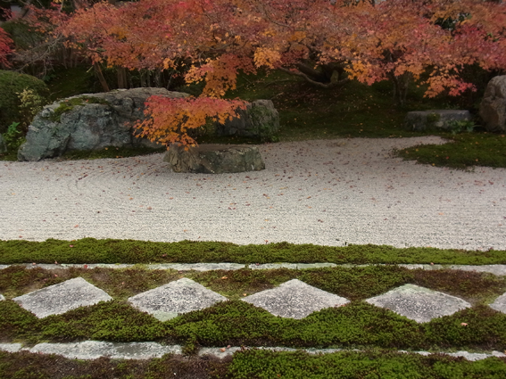 錦秋の京都旅行_d0069438_1826493.jpg