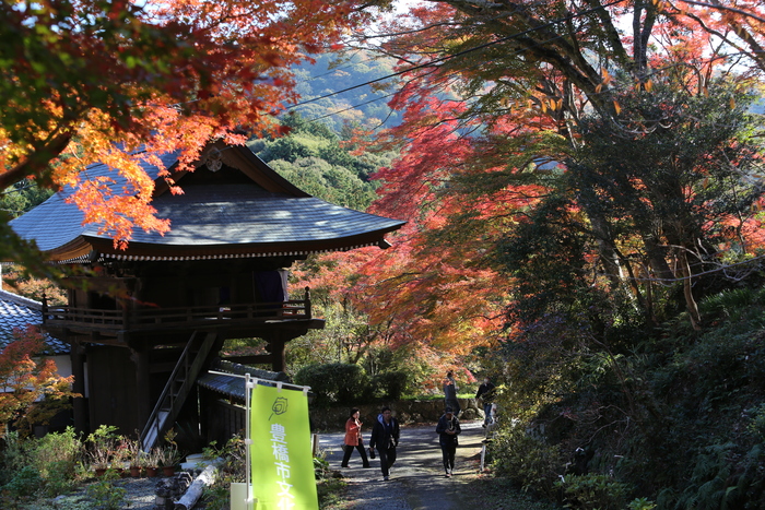 普門寺の紅葉_b0182547_22121336.jpg