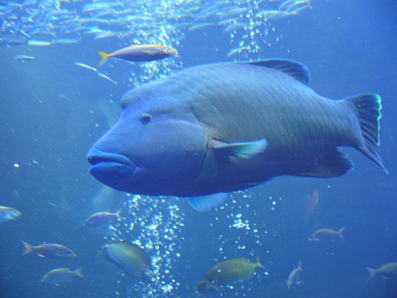 京都水族館のイルカスタジアム！_e0082949_1852381.jpg