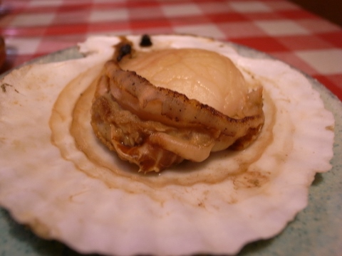 e0138549_12532729.jpg