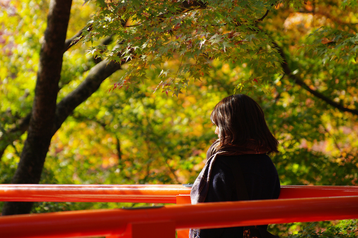 京都の紅葉 2013　〜北野天満宮・もみじ苑〜_f0152550_1643854.jpg