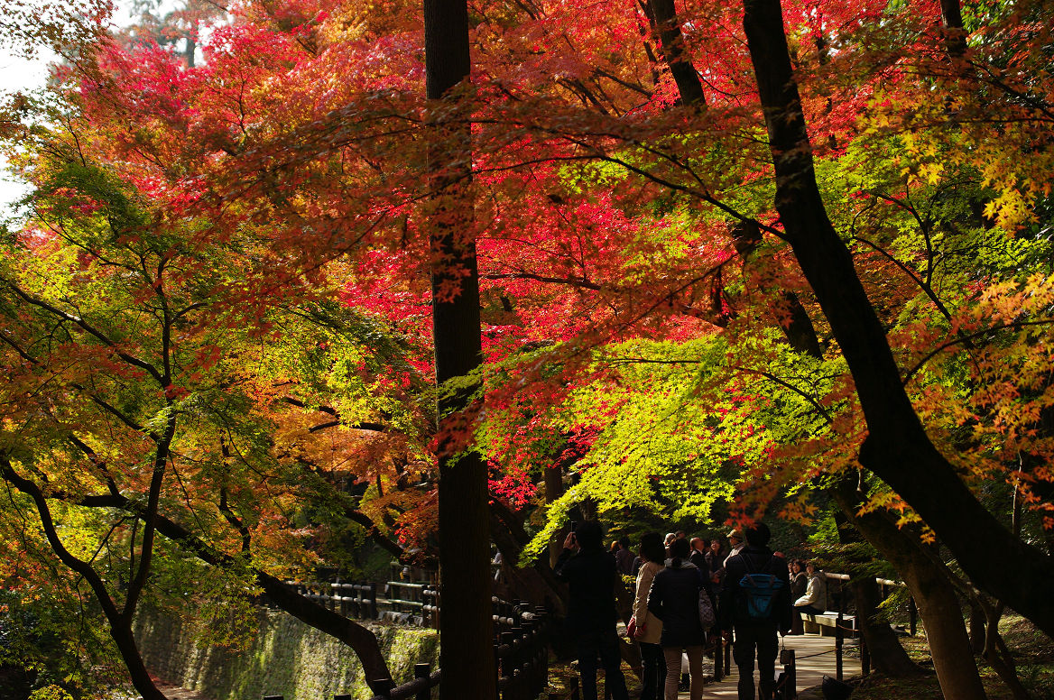 京都の紅葉 2013　〜北野天満宮・もみじ苑〜_f0152550_17144386.jpg