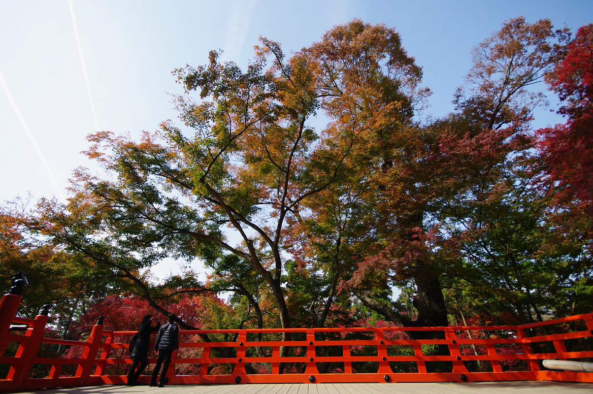 京都の紅葉 2013　〜北野天満宮・もみじ苑〜_f0152550_17272959.jpg