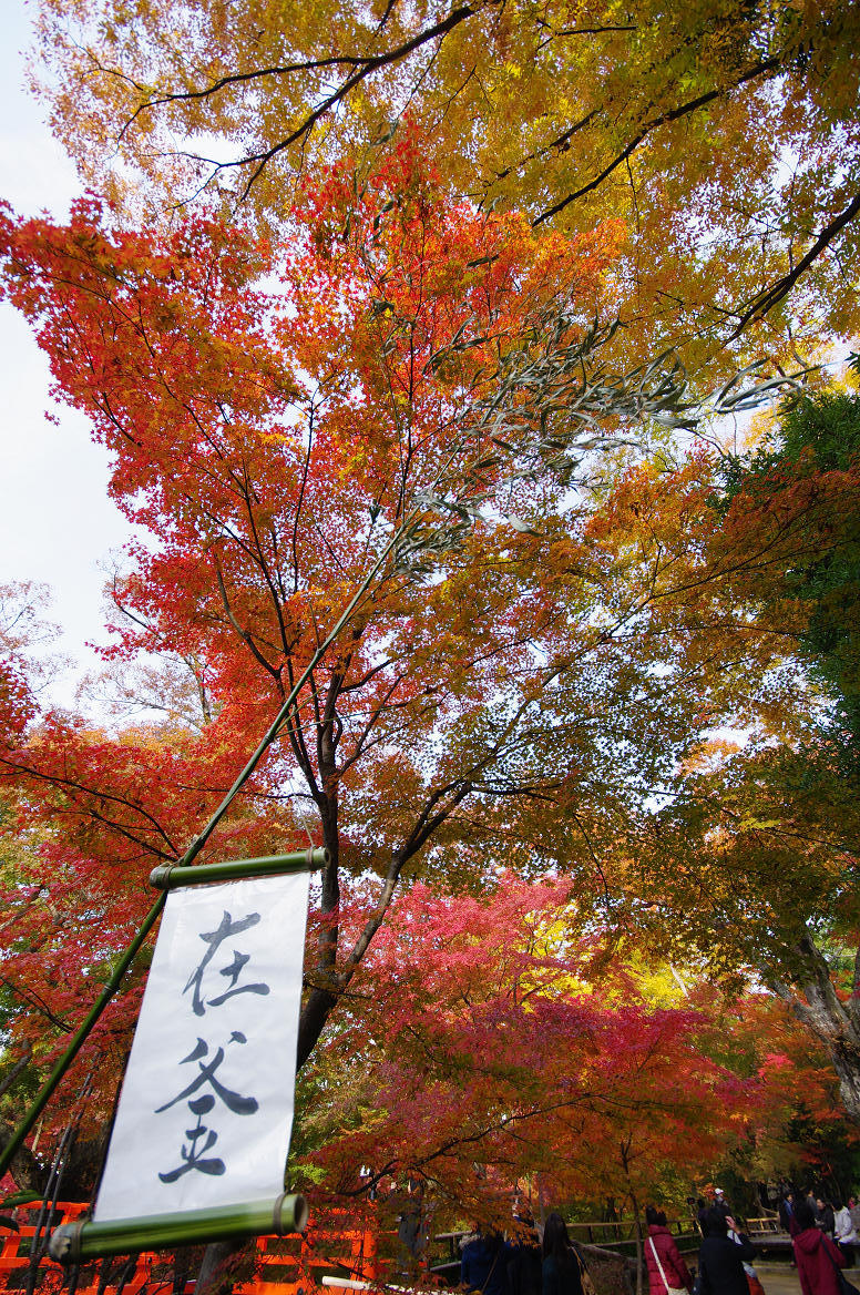 京都の紅葉 2013　〜北野天満宮・もみじ苑〜_f0152550_1727816.jpg