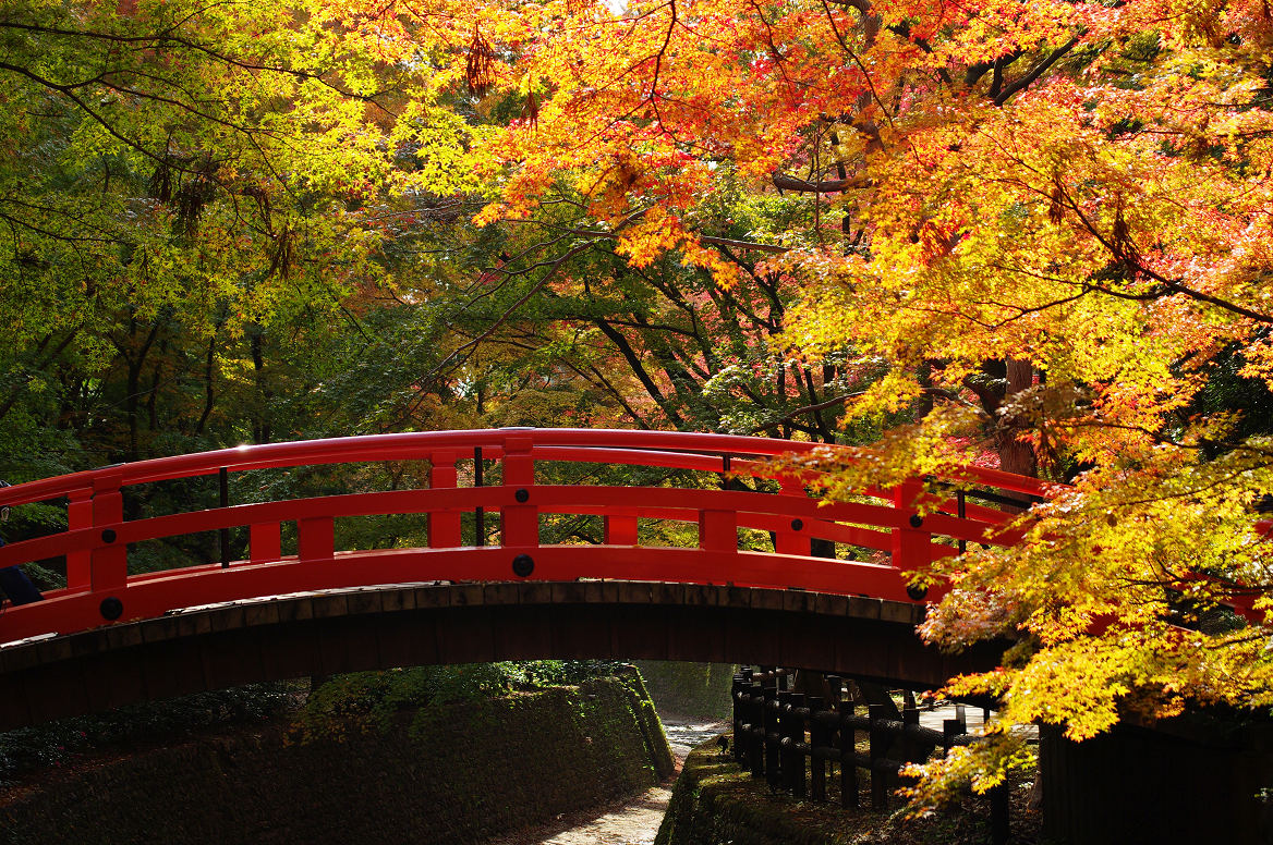 京都の紅葉 2013　〜北野天満宮・もみじ苑〜_f0152550_17305781.jpg