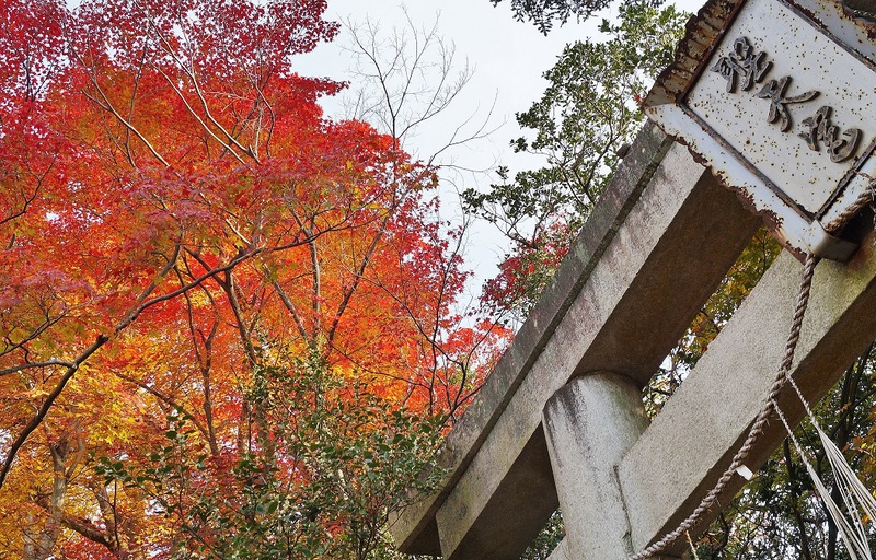 みのおの聖天さん・西江寺の紅葉　＠大阪・箕面_b0063958_22503829.jpg