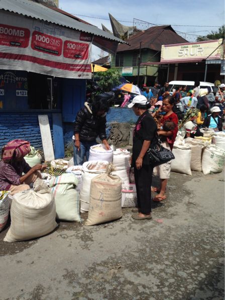 インドネシア産地視察⑥_f0104159_1353869.jpg