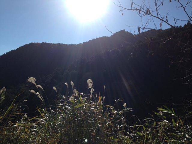 c0115560_1624114.jpg