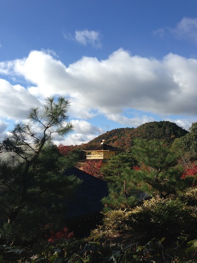 金閣寺_d0069964_0293241.jpg