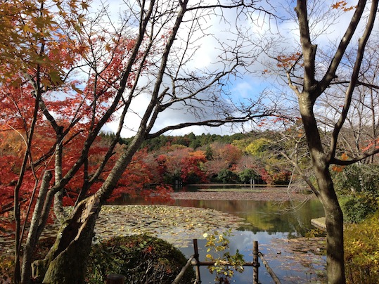 龍安寺_d0069964_1135133.jpg