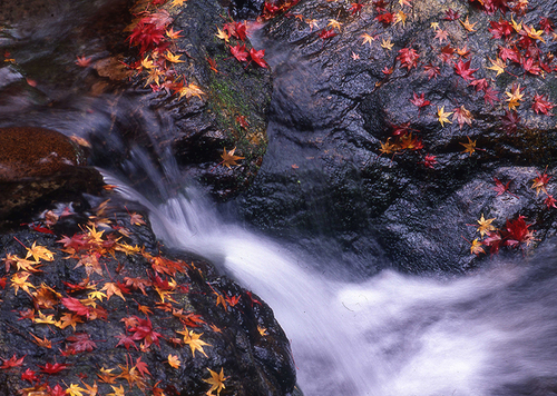 水のある紅葉風景_a0208066_19244416.jpg