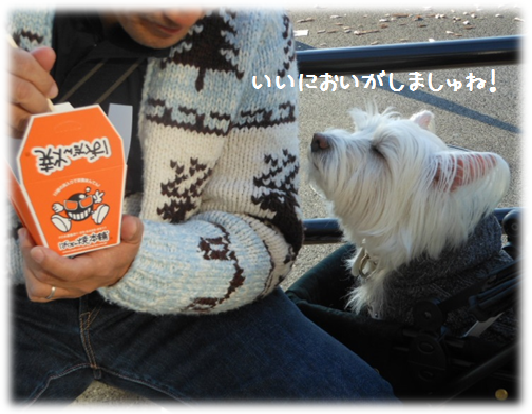 b0242873_227239.png
