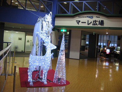 f0259373_19472096.jpg