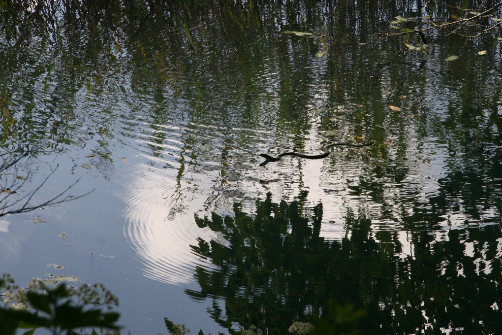 e0118274_21344136.jpg