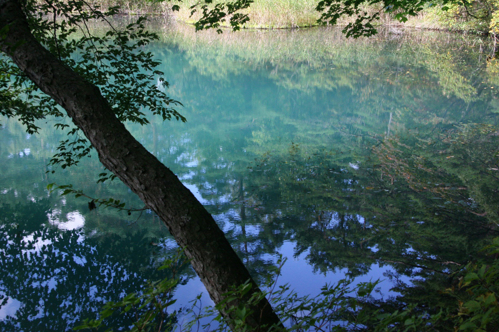 e0118274_2143355.jpg