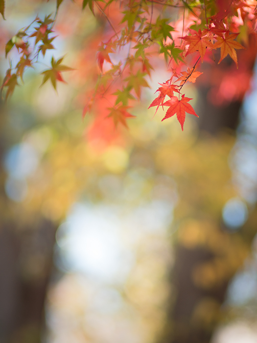 チビへ_a0161380_1194921.jpg
