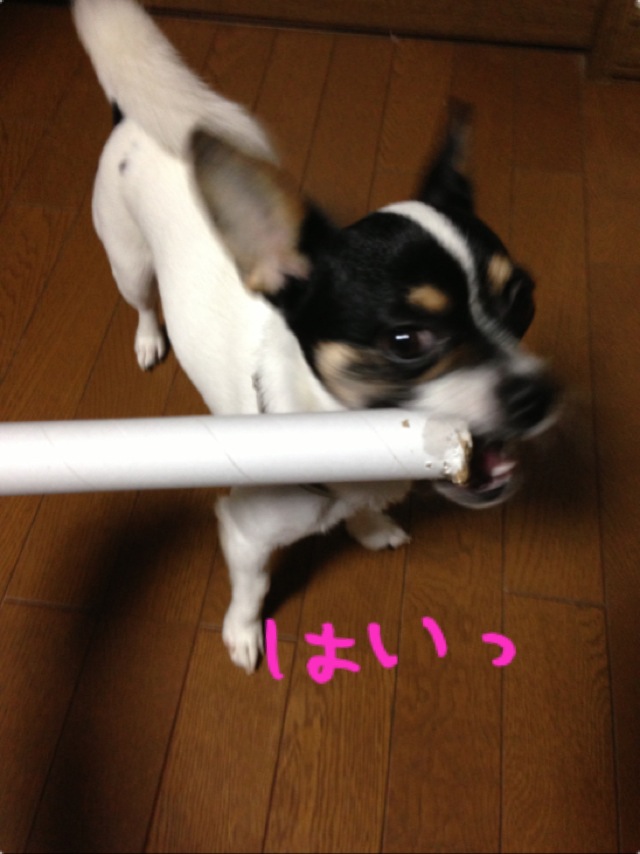f0248782_17304241.jpg