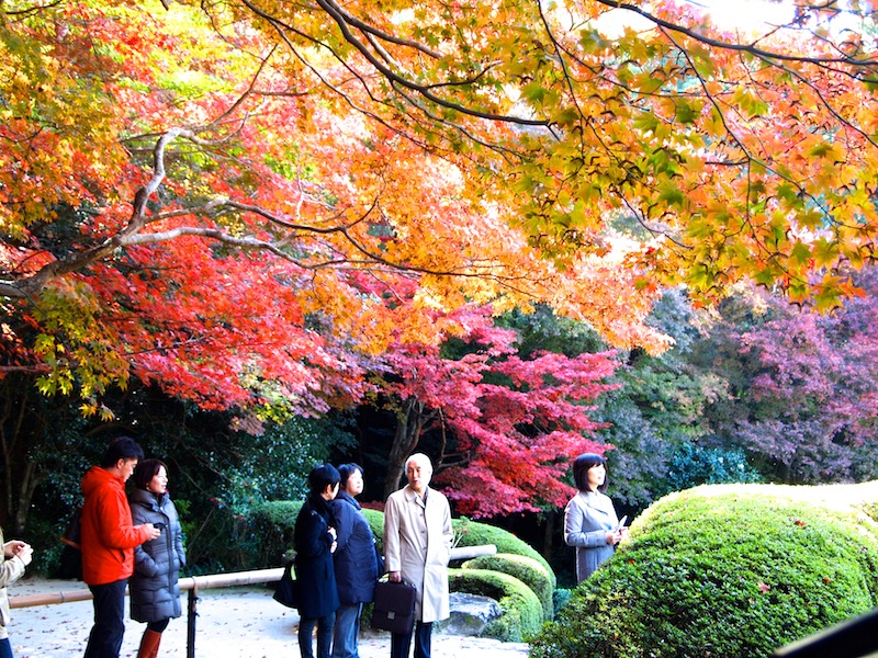 京都も行ったのだ⑩　一乗寺から修学院あたり_b0010585_023065.jpg