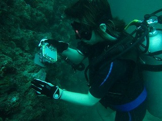 ピピ島体験&ファンダイビング!!_f0144385_0121017.jpg