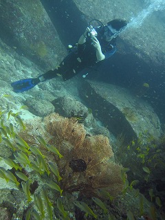 f0144385_22182429.jpg
