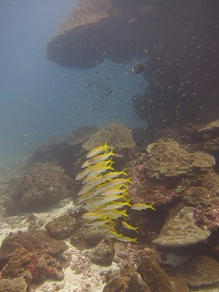 f0144385_222072.jpg