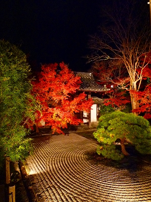 a0158486_5184610.jpg