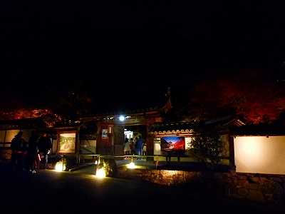 a0158486_5185713.jpg