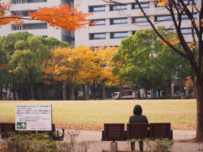 福岡天神中央公園_a0149488_16352187.jpg