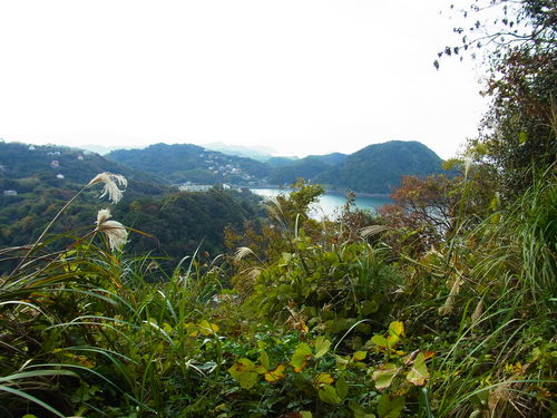 a0214490_17522123.jpg