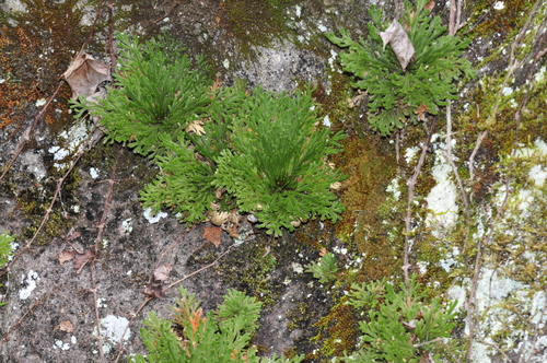 a0214490_18113711.jpg