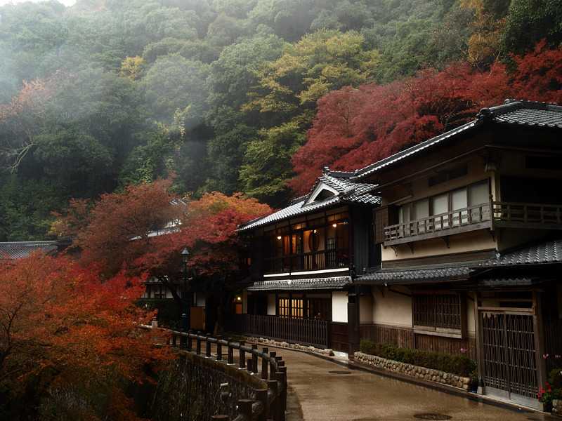 2013 11 25 雨天・曇天の箕面紅葉　その２_a0143491_2232150.jpg