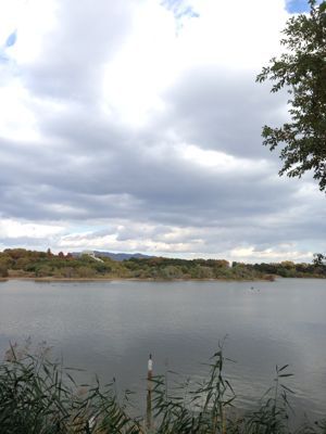 e0246691_3141380.jpg