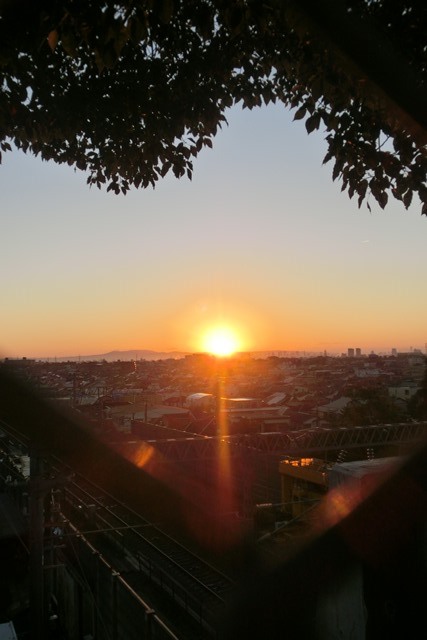 d0181492_23555890.jpg