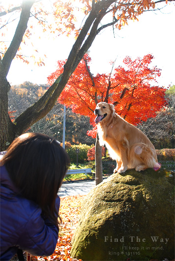【wanこ】高山オフ 2013 vol.1 ~ 中央自動車道・諏訪湖PA_f0054594_2154194.jpg